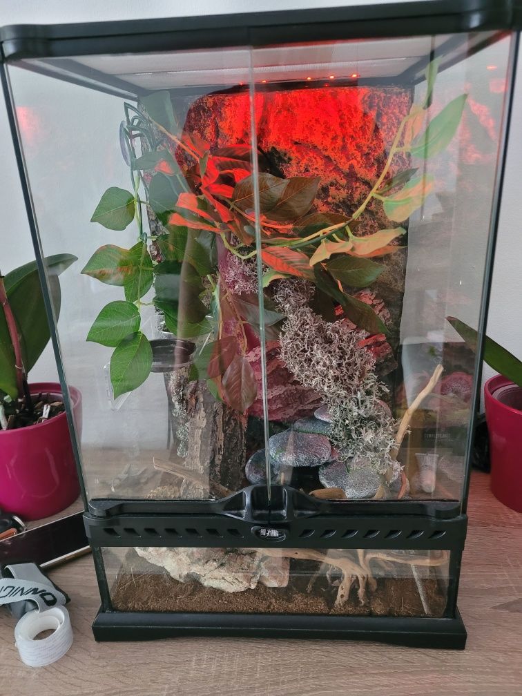 Exo Terra Terrarium 30 x 30 x 45 cm