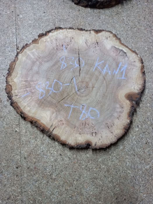 Слэб каповый карагач, акация, орех, дуб, тополь, клён.