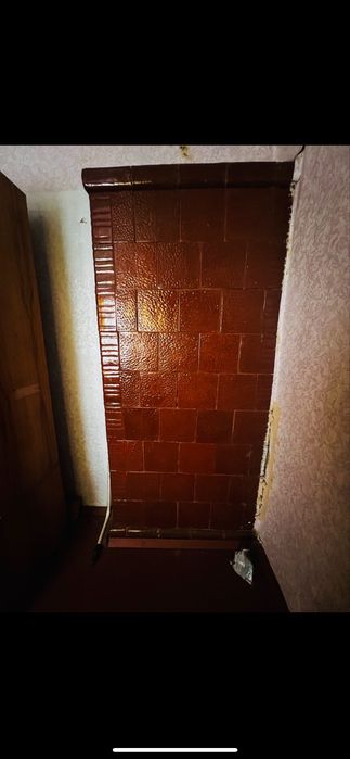 Продам будинок з великим участком та городом