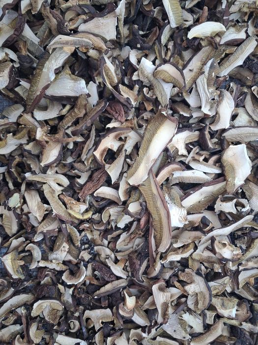 Zdrowy suszony podgrzybek 0.5kg sezon 2025