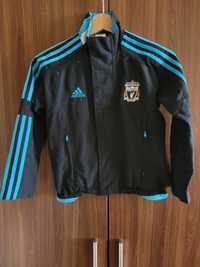 Kurtka Adidas Liverpool