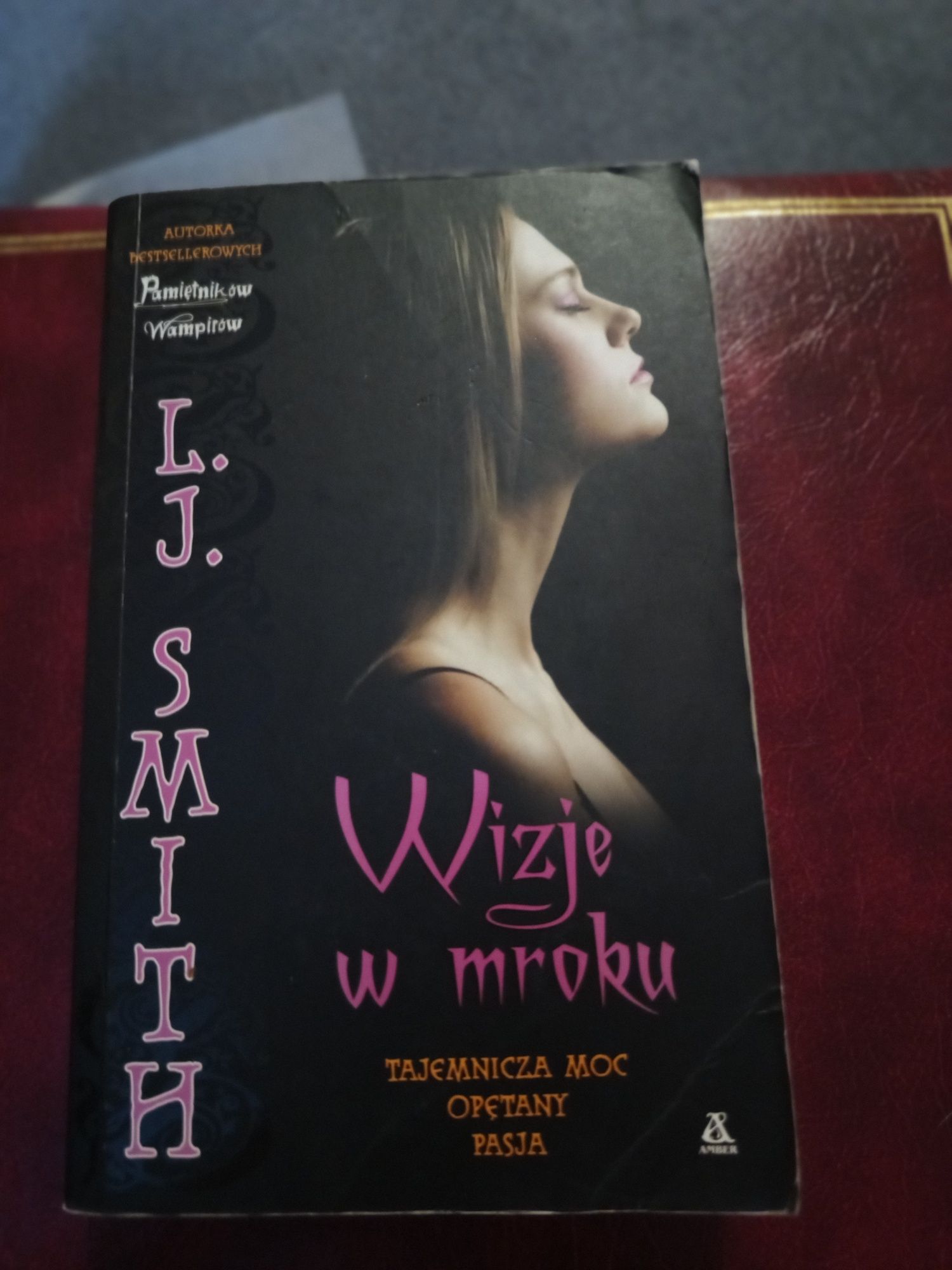 Wizje w mroku L. Ja. Smith
