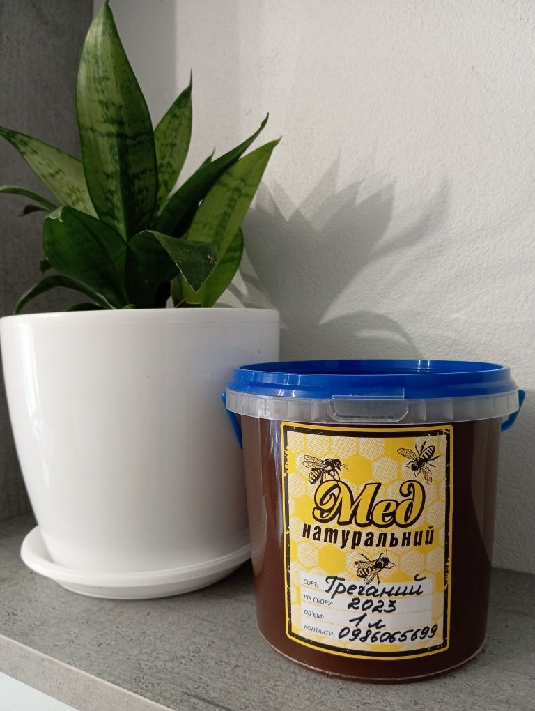 Продам свіжий гречаний мед