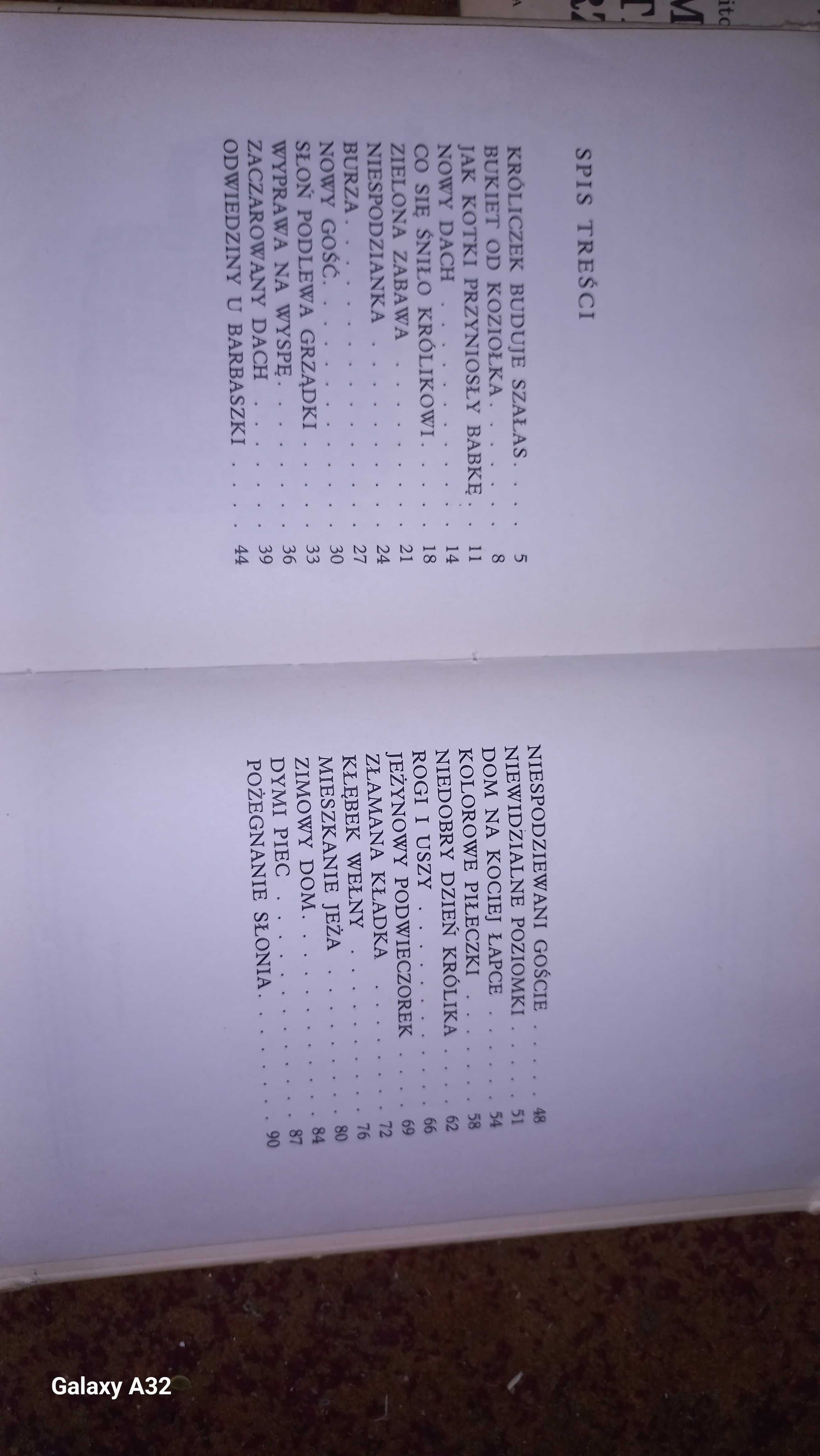 Wesołe lato Helena Bechlerowa