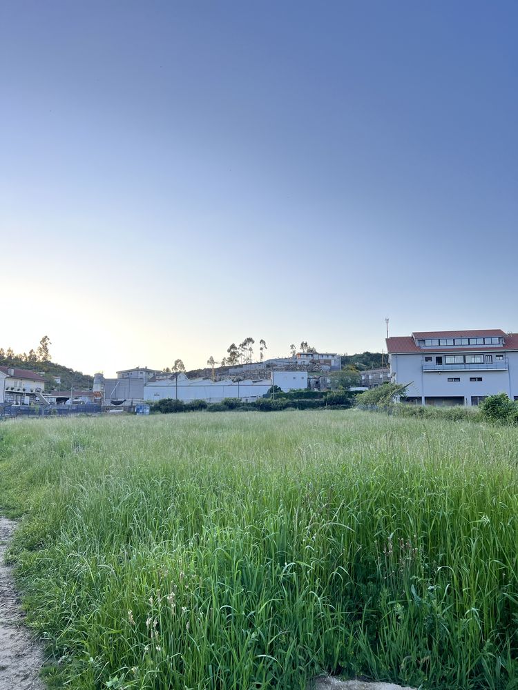 Fardos de palha 2025