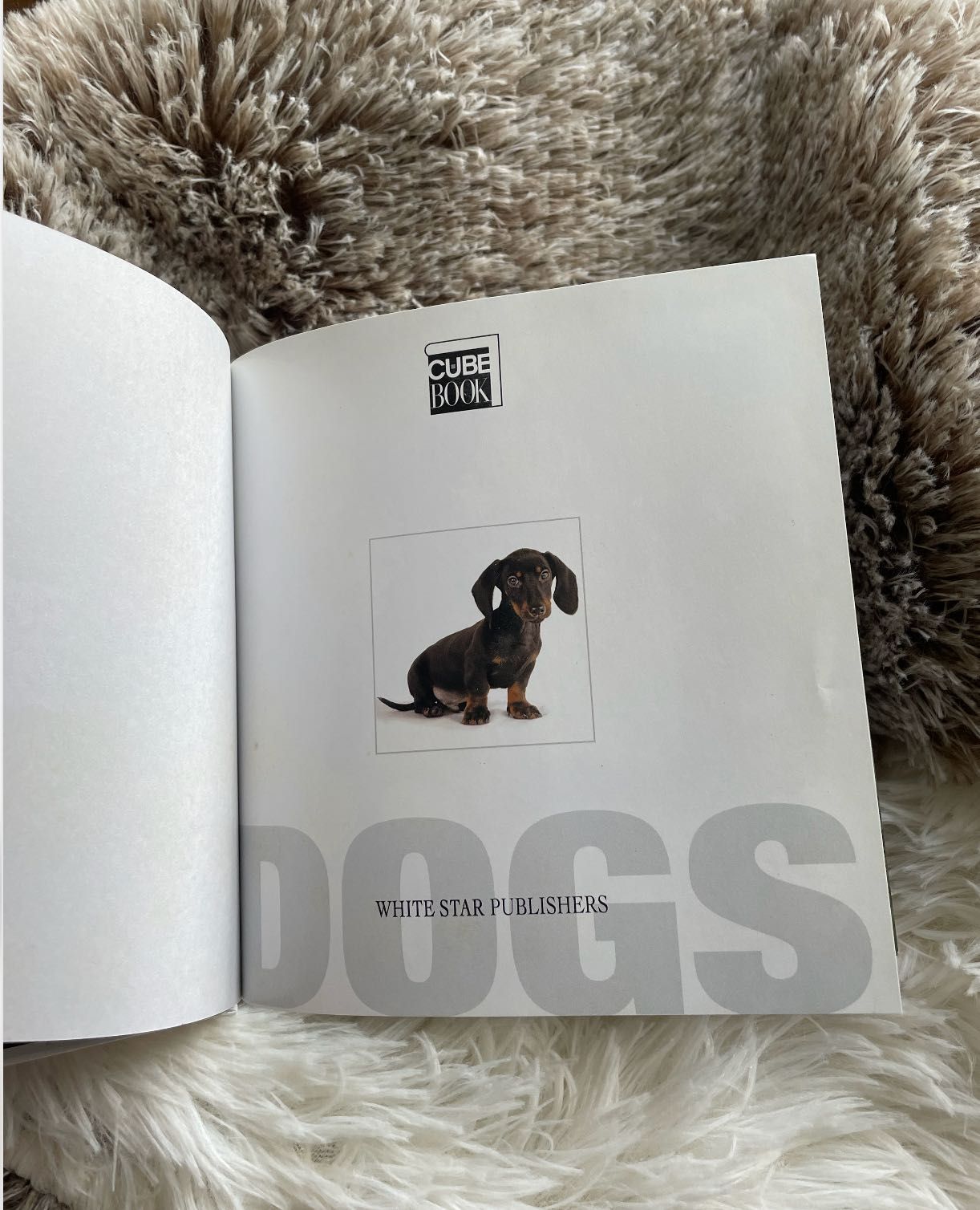 DOGS cube book - livro