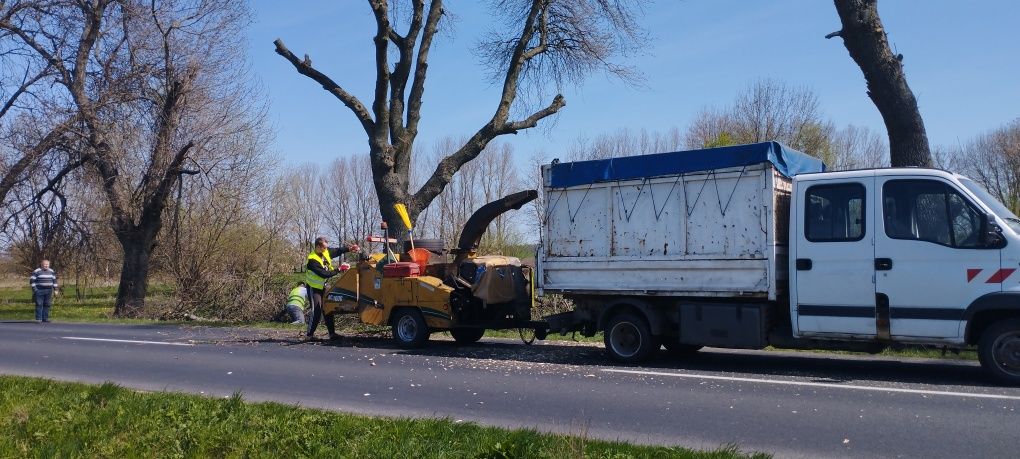 Wycinka drzew, usługa rębakiem do gałęzi