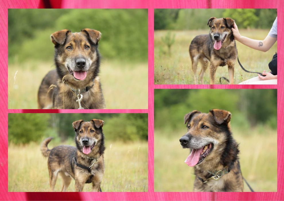 GAZIO - marzy o nowym domu i rodzinie :)