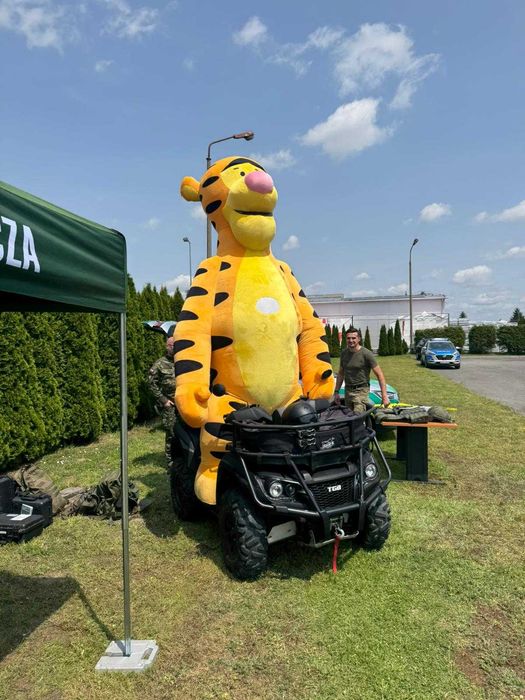 Dmuchane duże misie, atrakcja na wesele, piknik, festyn