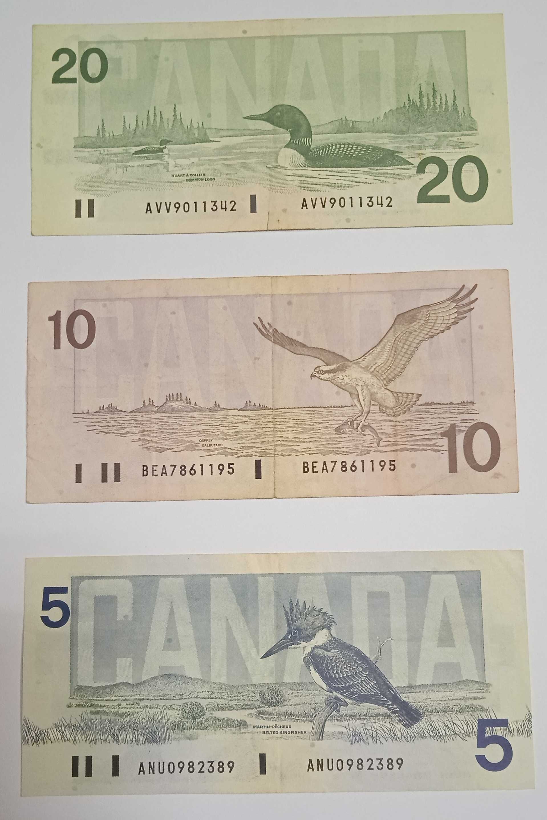 Lote 3 notas Dollars Canadianos. 20,20,5. Circuladas