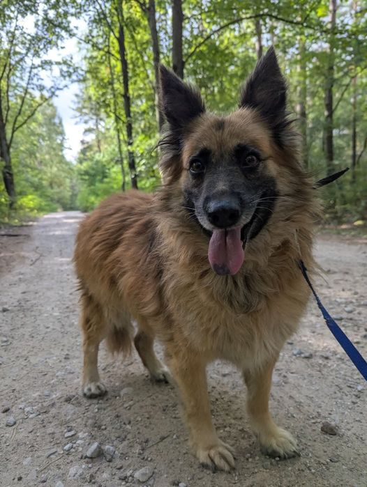 Pokochaj i adoptuj Becię!