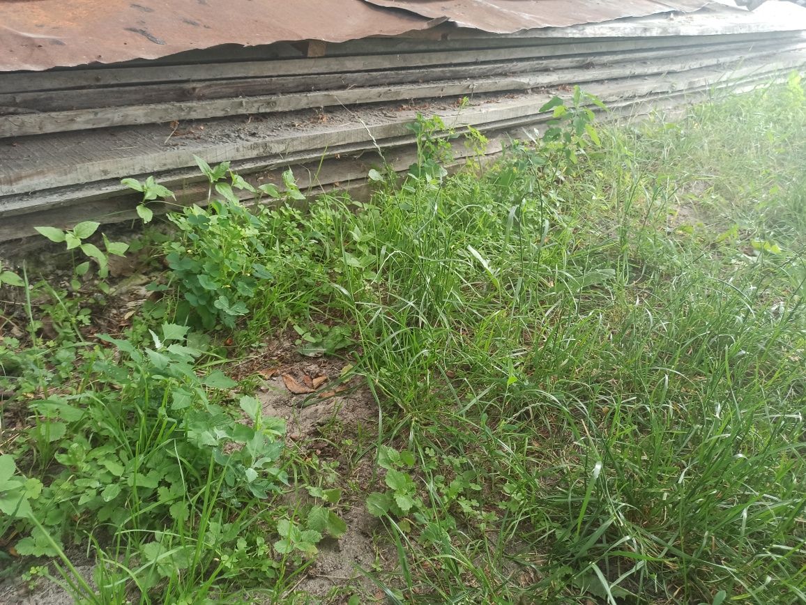 Продам-дам в оренду опалубку для будівельних робіт