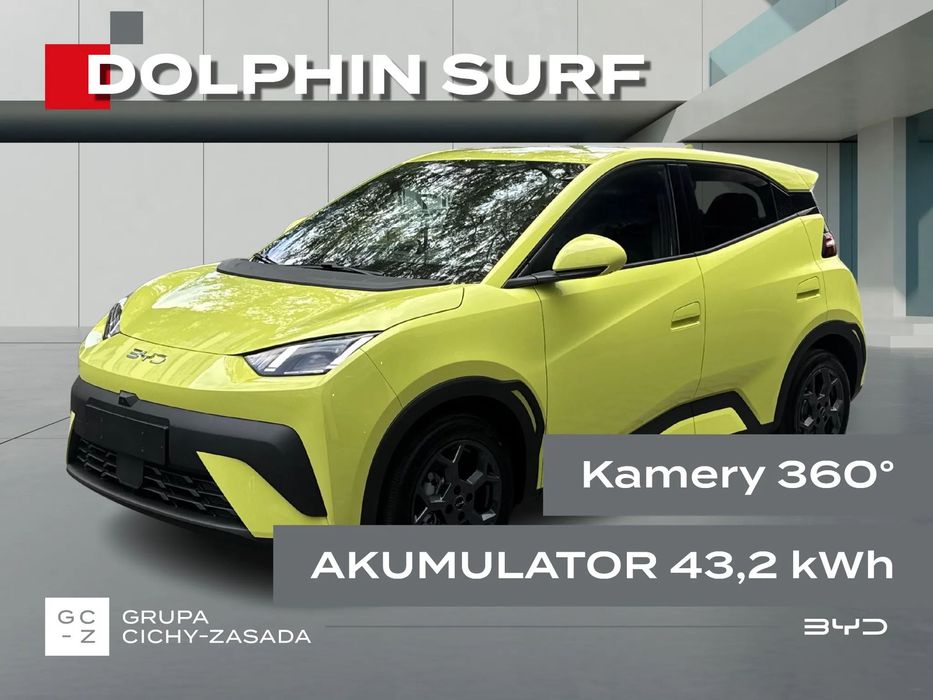 BYD Dolphin Mini DOLPHIN SURF COMFORT Lime green + Black-grey