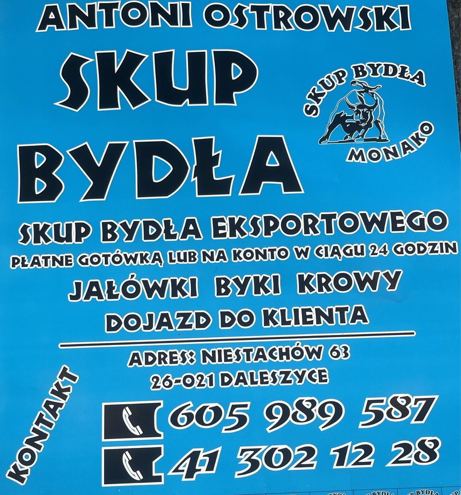 Skup bydła MONAKO