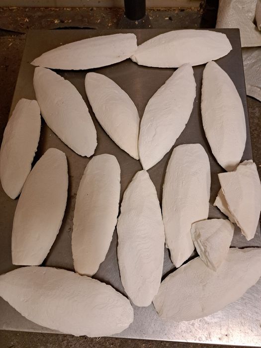SEPIA NATURALNA 8-12cm,2zł/szt,80zł za 40szt papuga,ślimak,żółw,papuga