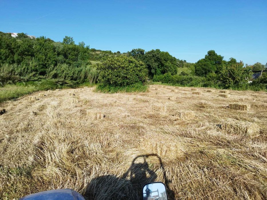 Fardos de Feno de Azevém