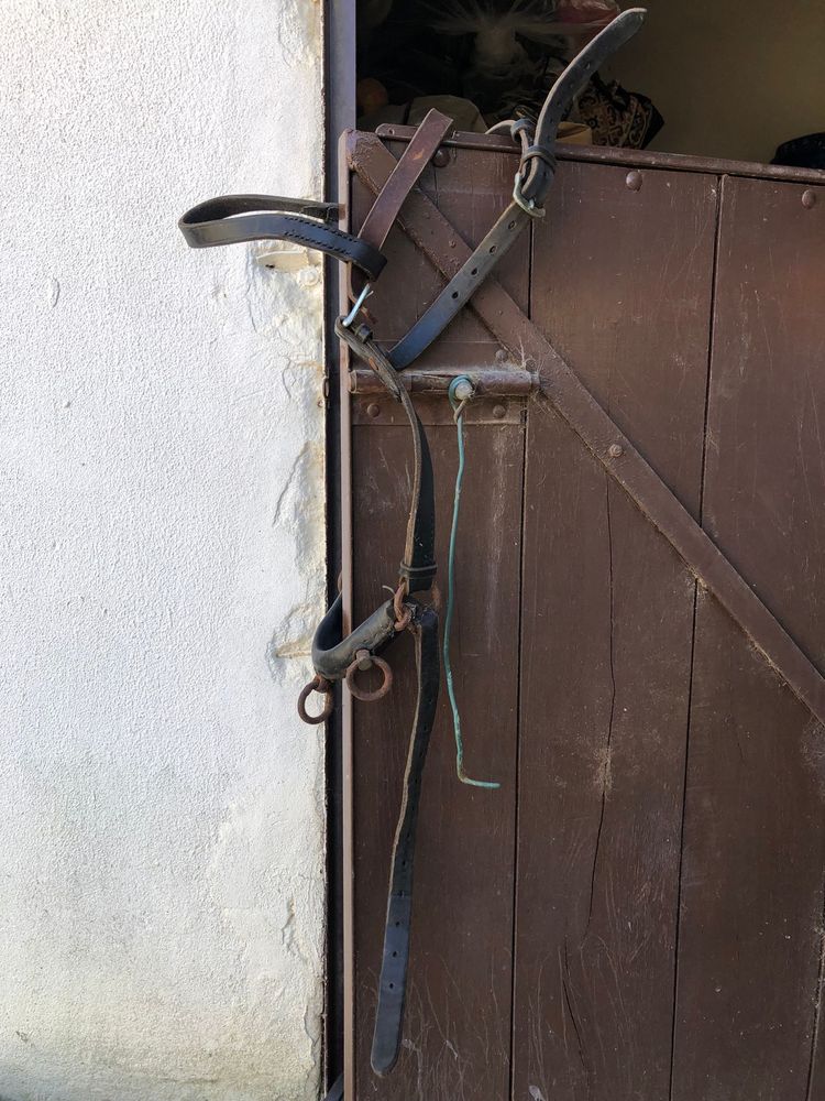 Equipamento de  Equitação