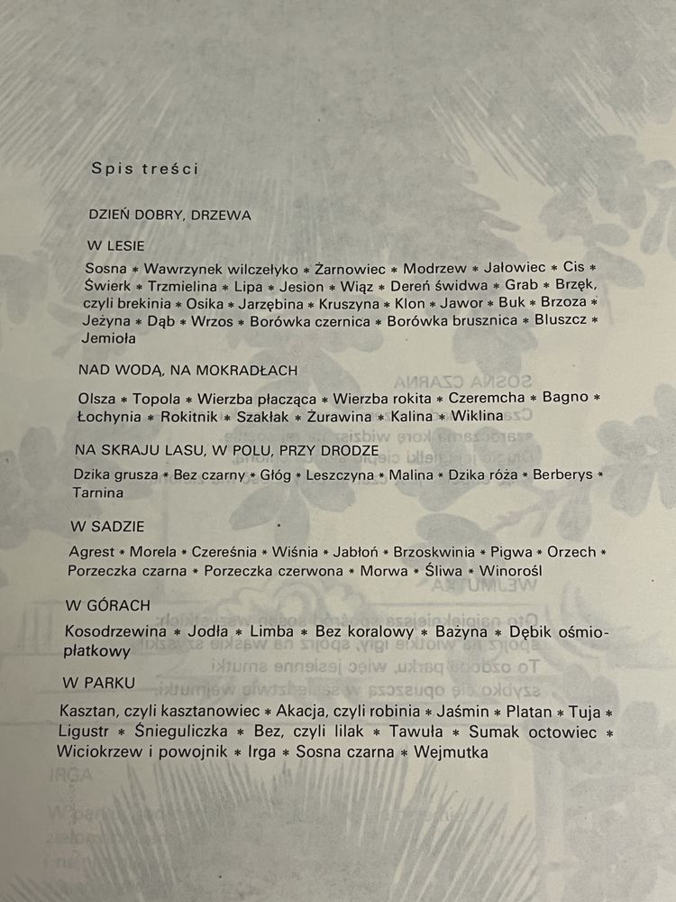 Dzień dobry - Drzewa! - Włodzimierz Scisłowski - Wydawnictwo Łódzkie