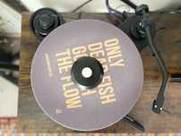 Gramofon ProJect RPM 1.3