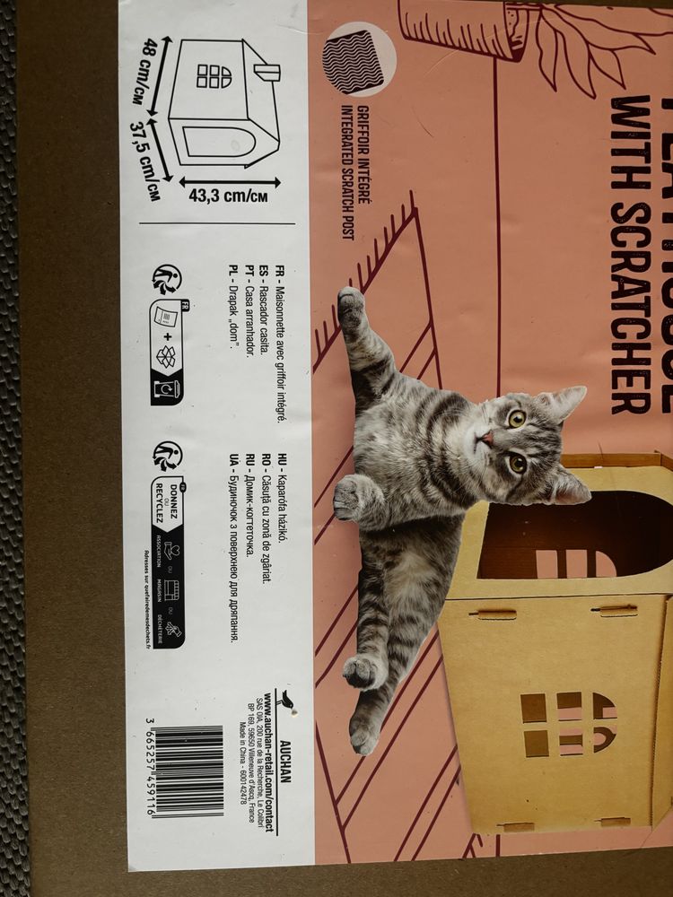 domek dla kota kartonowy auchan