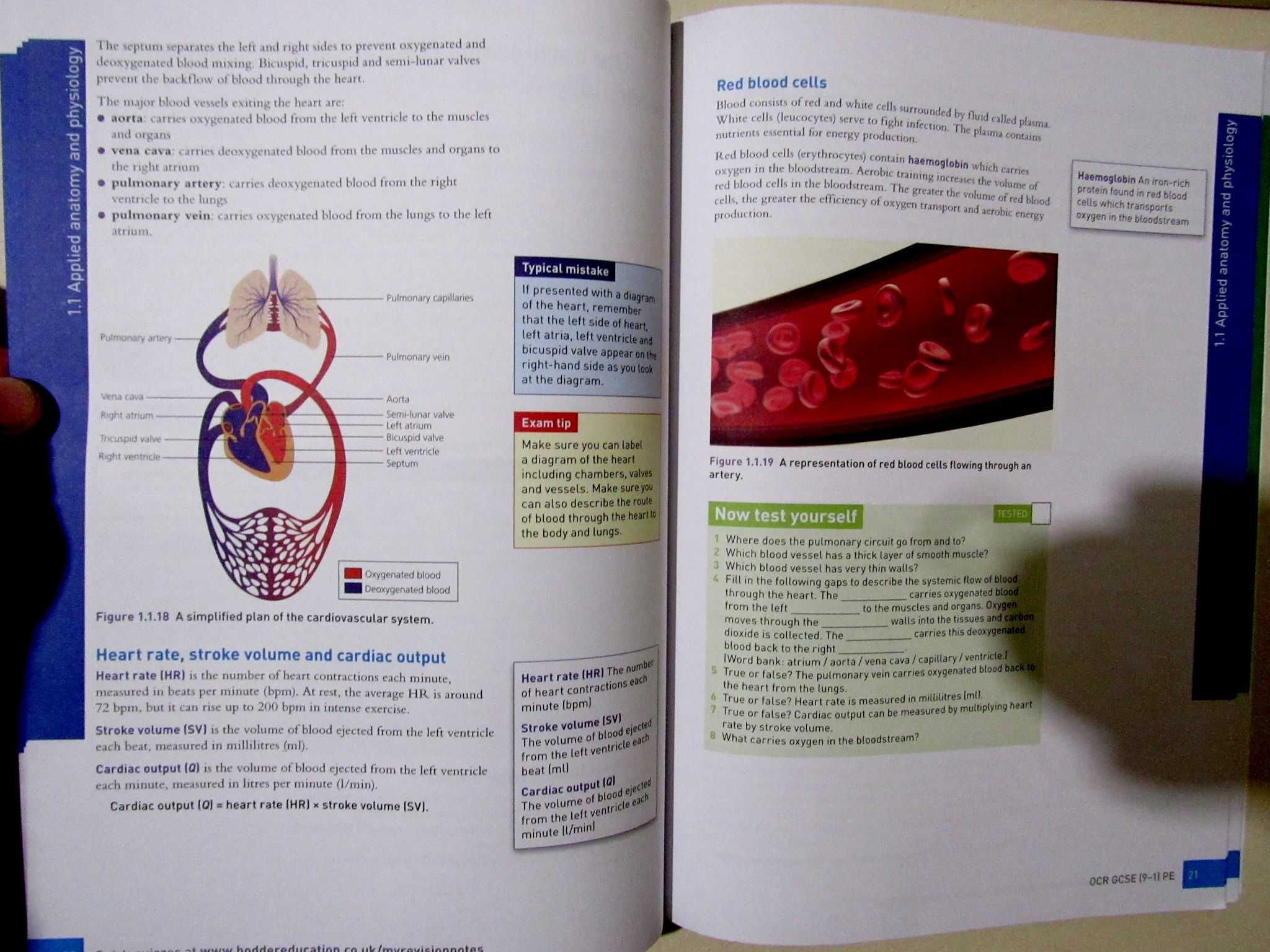 Журналы серии OCR GCSE (9–1) PE  (на английском языке)