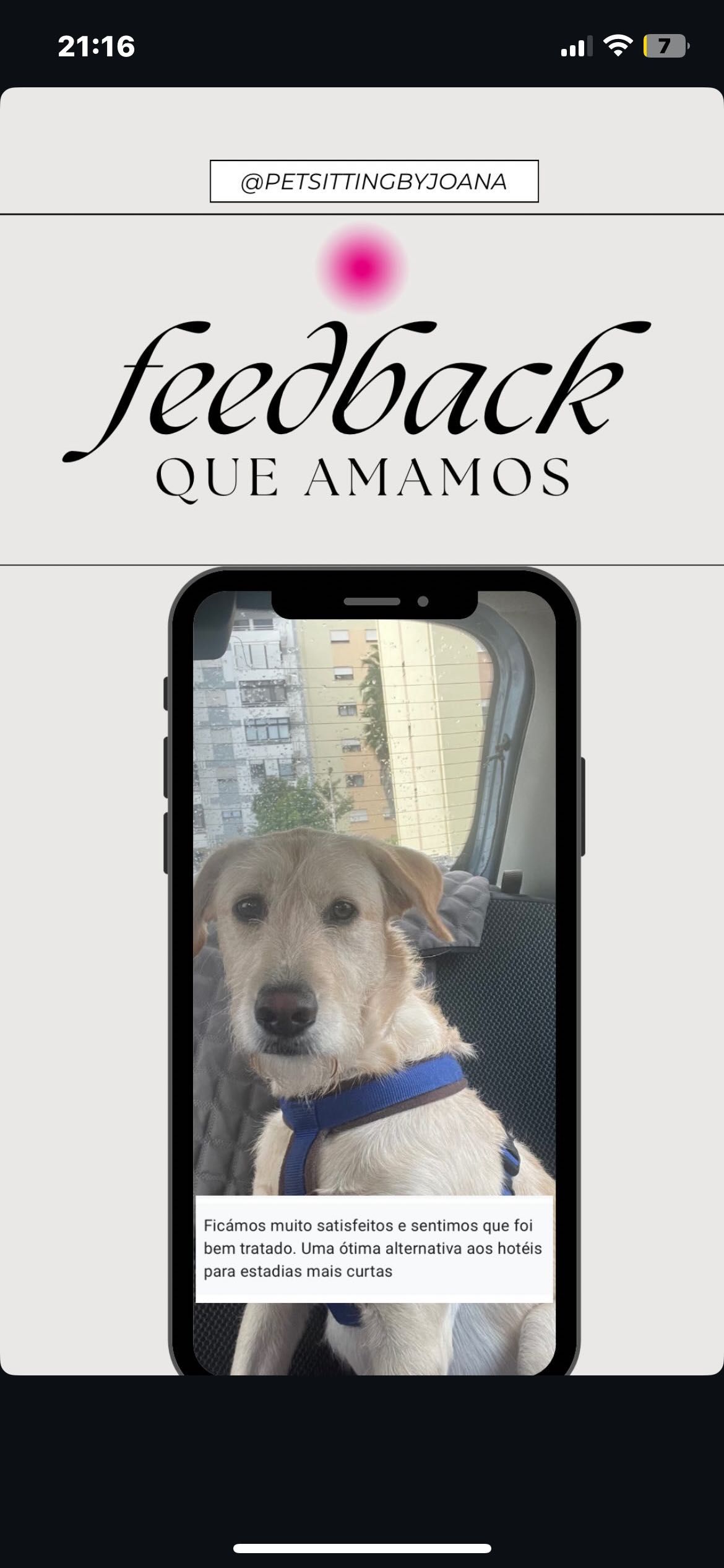 Pet Sitting/ estadias, passeios, visitas