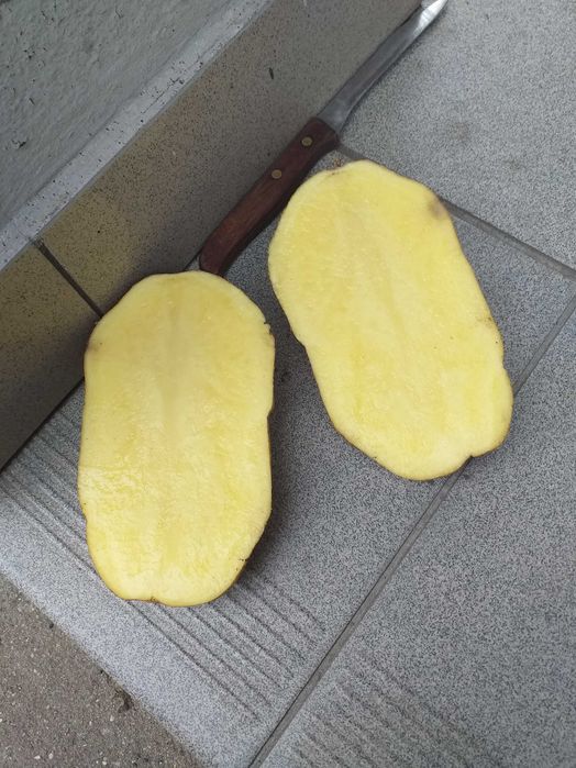 ziemniaki Jurki z możliwością  wysyłki