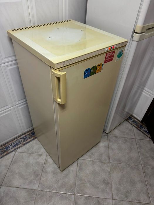 Arca frigorífica congeladora