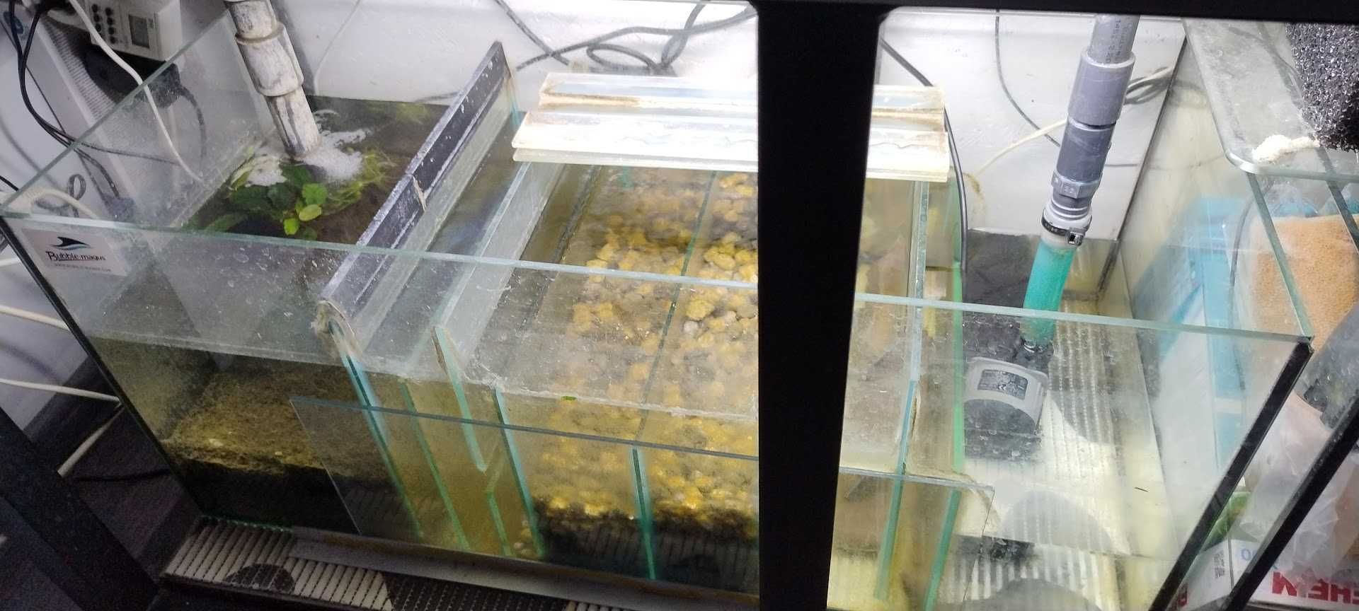 Akwarium  300l komplet pilnie