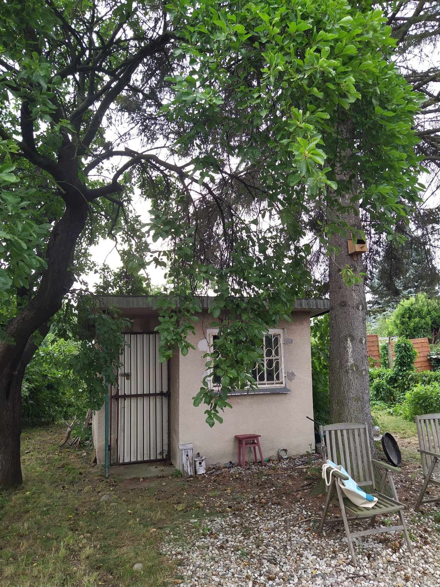 Działka ROD Gdańsk Zaspa