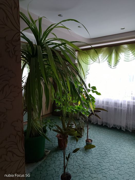 Здаю кімнатив 2 во поверховому будинку не далеко від Томоклініки 30 хв