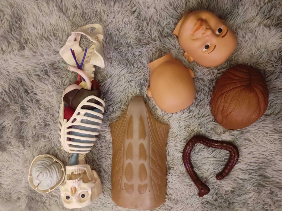 Corpo humano national geographic