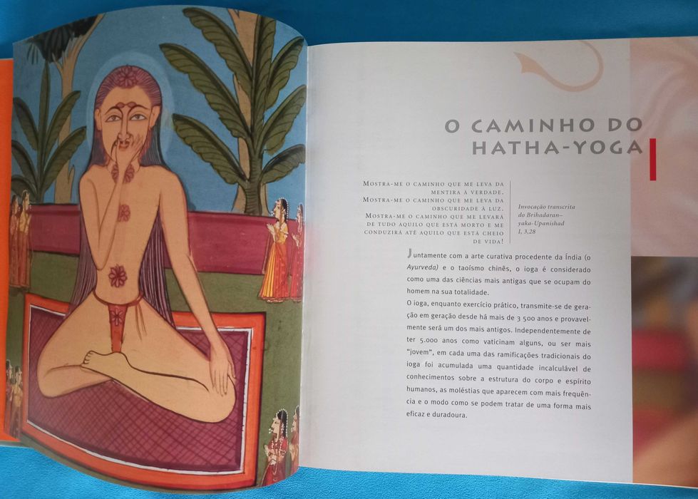 O Grande Livro do Ioga de Anna Trokes