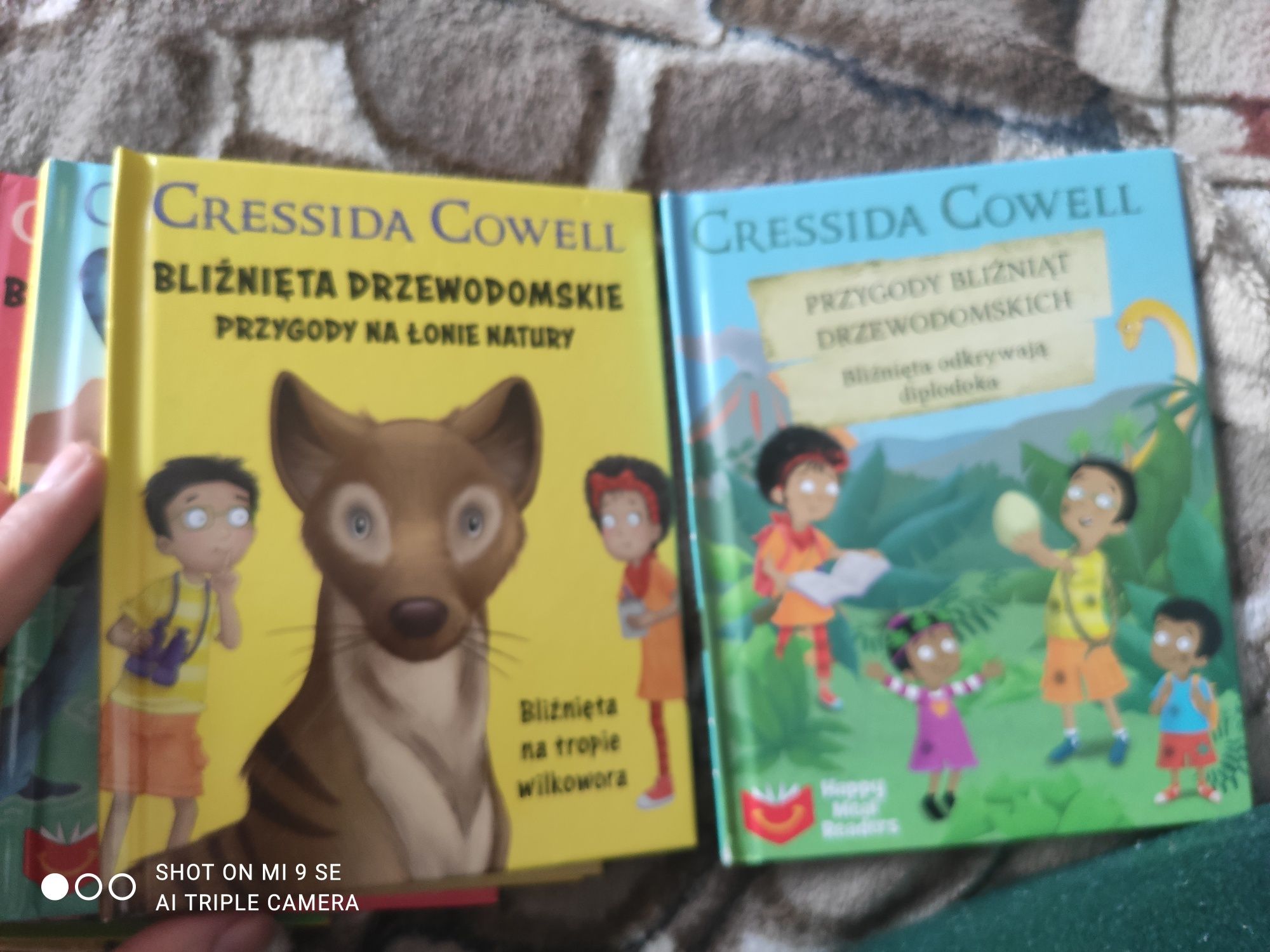 14 Książeczek książki dla dzieci Gressida Gowell bliźnięta Drzewodoms