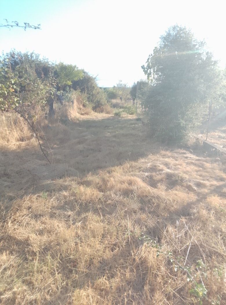 Terreno em Alcains
