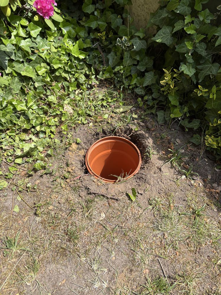 Lodówka cooler barek ziemny chłodziarka
