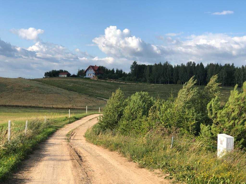 Wynajmę domek z linią brzegową na Suwalszczyźnie