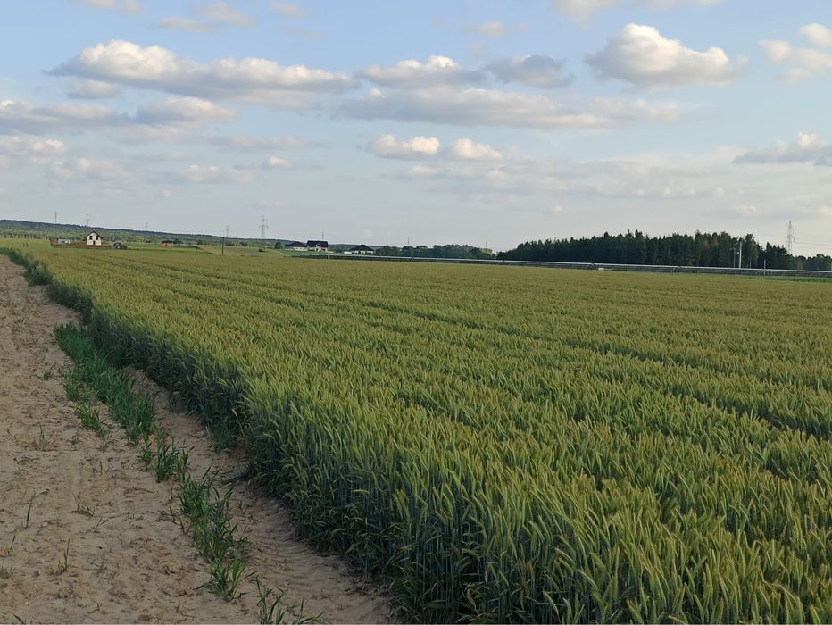 Działki budowlane w Zawadach