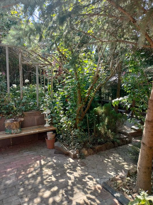 Будинок, Городище на ділянці 12 сот.