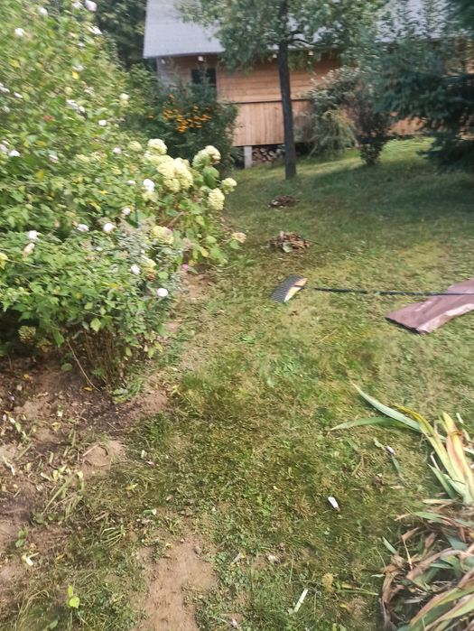 Usługi ogrodowe porządkowe pielęgnacyjne