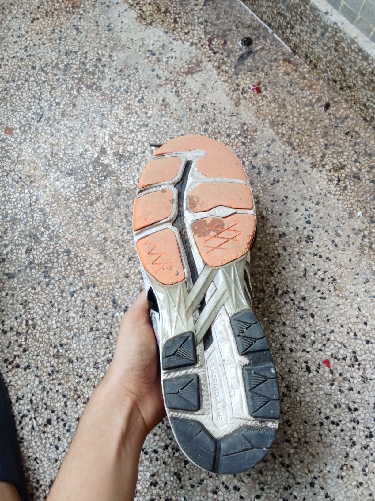 Sapatilha de Asics