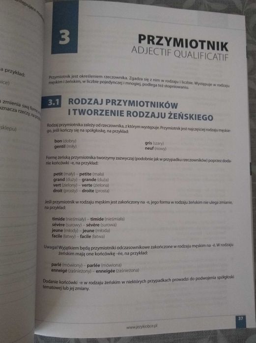 Francuski - Gramatyka z ćwiczeniami - Stan idealny!