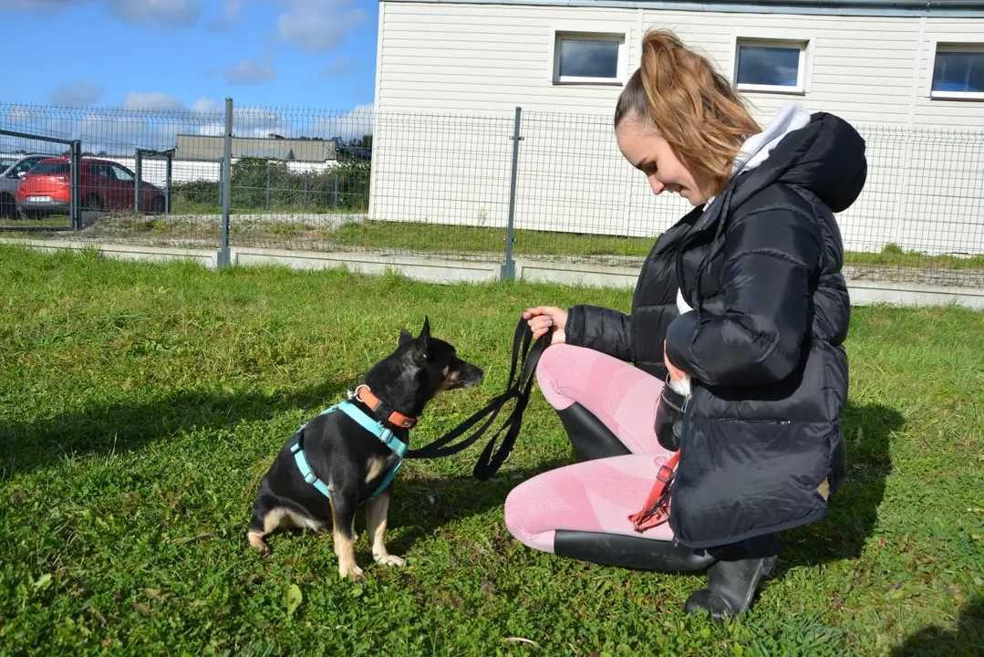 Adoptuj księcia! :)