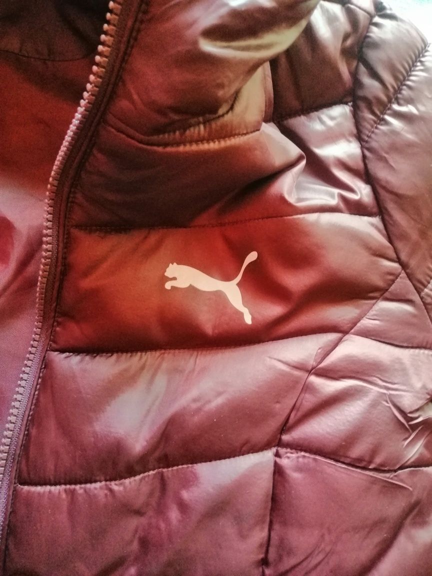 Куртка puma бордового цвета
