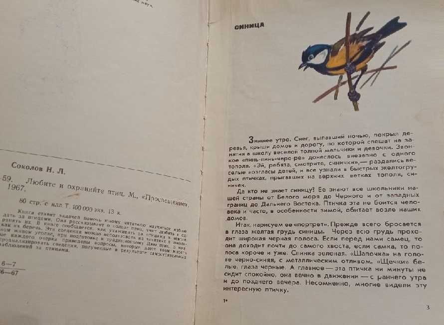 Соколов Любите и охраняйте птиц (1968)