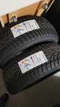 OPONY zimowe Nowe 
Nankang SV-3
225/45 R19 96 V XL