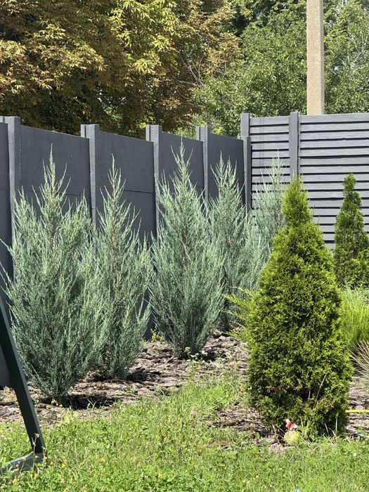 Продаж будинку , Люботин, район Ромашка