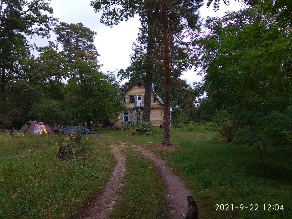 Продам ділянку в Бучі Лісовій від хазяїна!!
