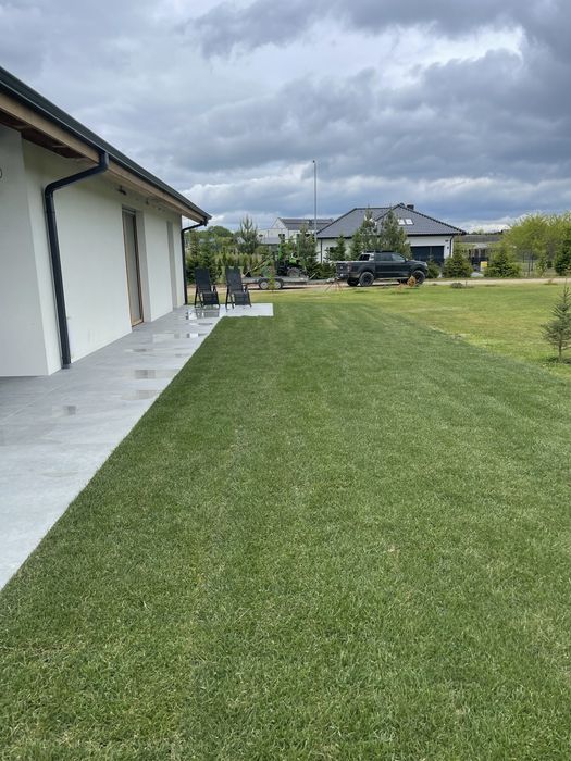 Trawnik z rolki równanie terenu niwelacja ziemia