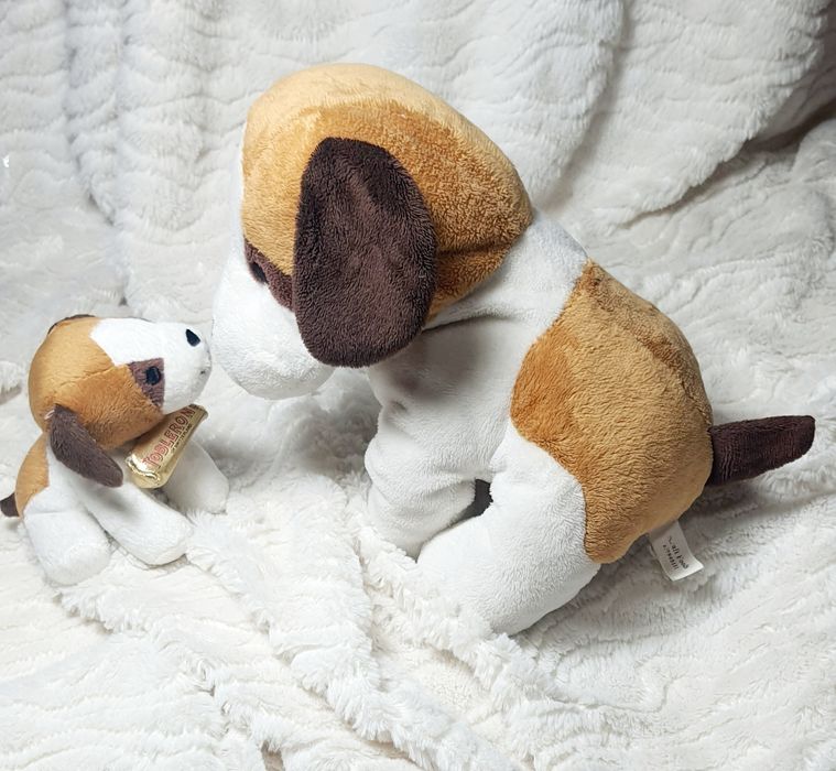 Dwa pieski Mamusia i szczeniaczek Toblerone